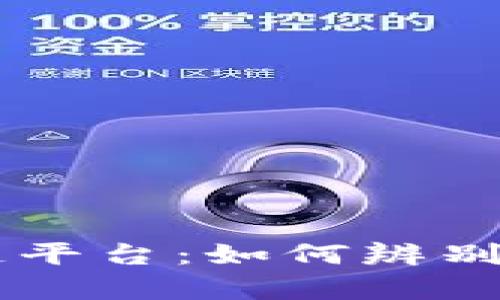 揭秘上海区块链平台：如何辨别骗局与真实项目