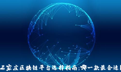 
石家庄区块链平台选择指南：哪一款最合适？