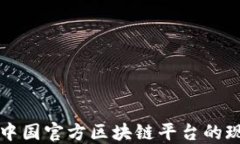 深入探讨中国官方区块链平台的现状与未来