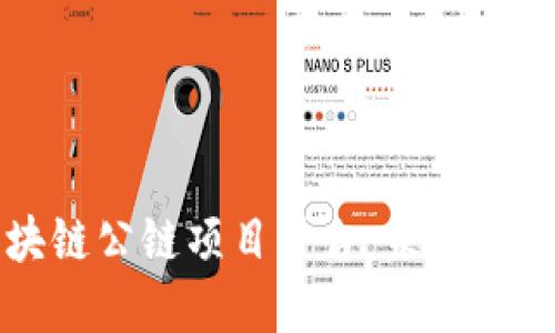 深入探索区块链公链项目平台：未来数字经济的基石