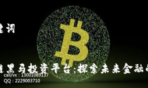 与关键词


区块链黑马投资平台：探索未来金融的机会