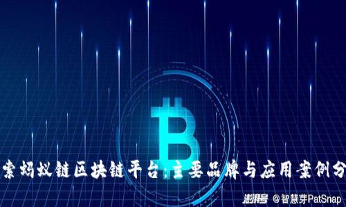 探索蚂蚁链区块链平台：主要品牌与应用案例分析