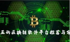 真正的区块链软件平台推荐与分析