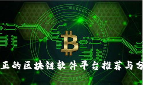 真正的区块链软件平台推荐与分析