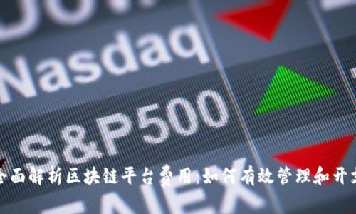 全面解析区块链平台费用：如何有效管理和开支