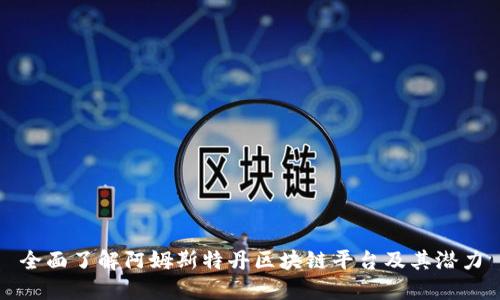 全面了解阿姆斯特丹区块链平台及其潜力